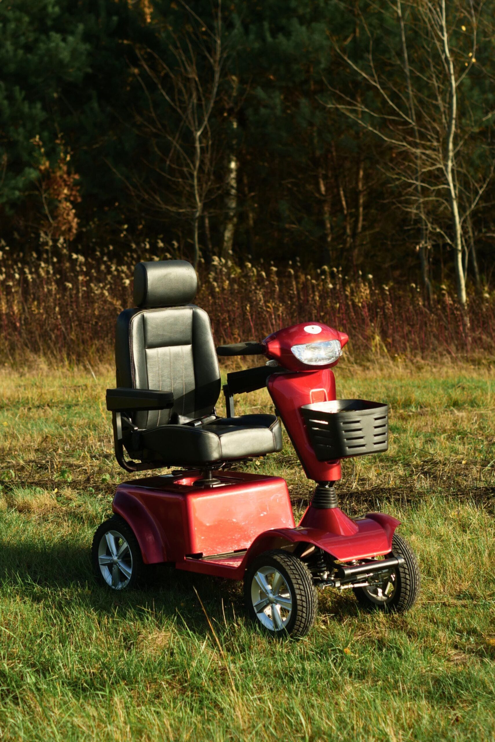 4038 Four-Wheel Electric Mobility Scooter - Image 2